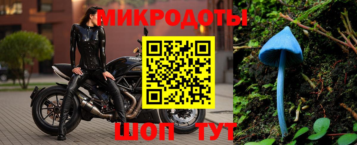 Псилоцибиновые грибы ЛСД Камышин