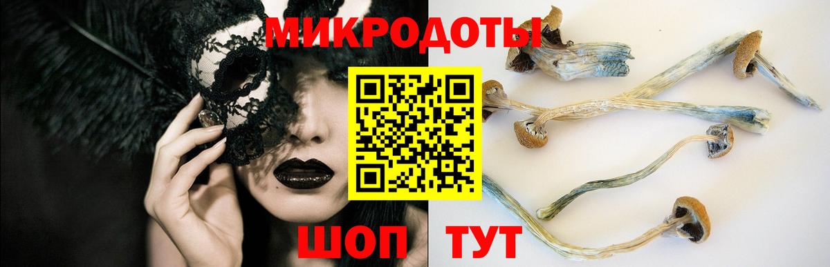 как найти наркотики  Галлюциногенные грибы Psilocybe  Вход с VPN  Камышин  Галлюциногенные грибы Psilocybine cubensis 